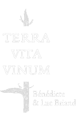 Logo Terra Vita Vinum