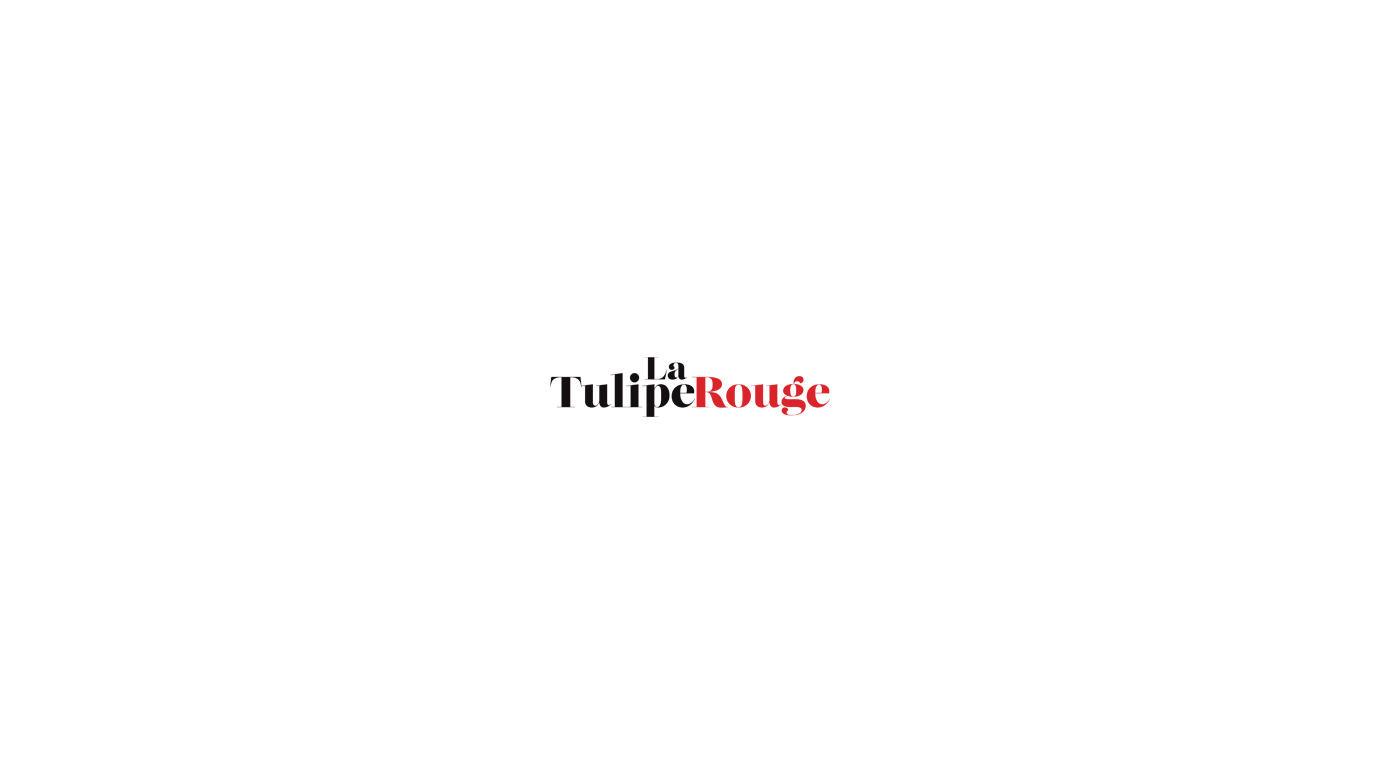 logo tulipe rouge