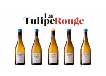 La Tulipe Rouge : our wines selected for the 2024 hit list