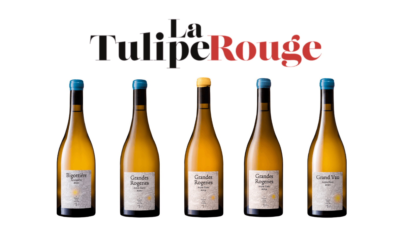 La Tulipe Rouge : our wines selected for the 2024 hit list