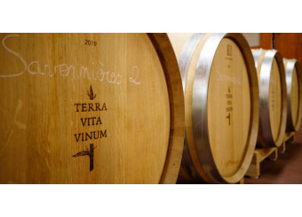 Journées Dégustation - 5, 6 et 7 décembre 2024