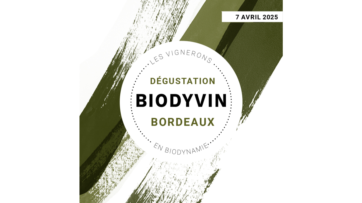 Design sans titre (31)