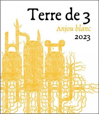 TVV-A-Terre-de-3-23-RVB___list_338_386