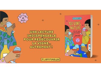 Terre de 3 featured by Alicia Dorey in her guide - 100 Natural Wines That Will Never Disappoint You