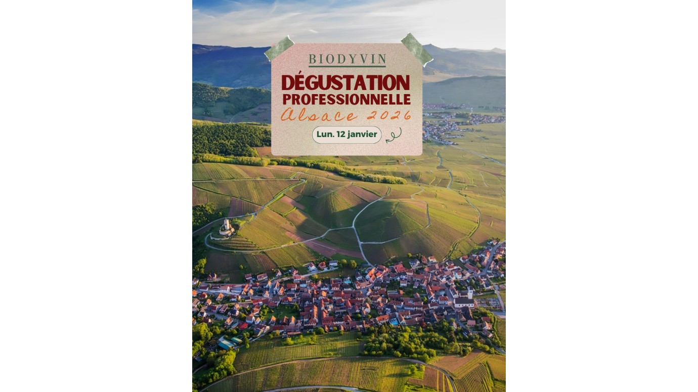 584623494_1333277335265248_868496566844651716_n