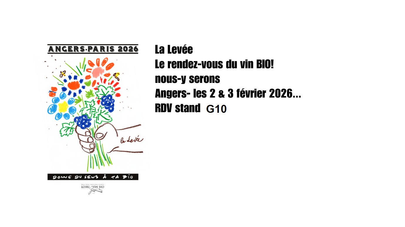 La Levée de la Loire 2026 -lundi 2 et mardi 3 février 2026