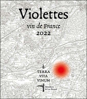 TVV-P-Violettes 22 RVB