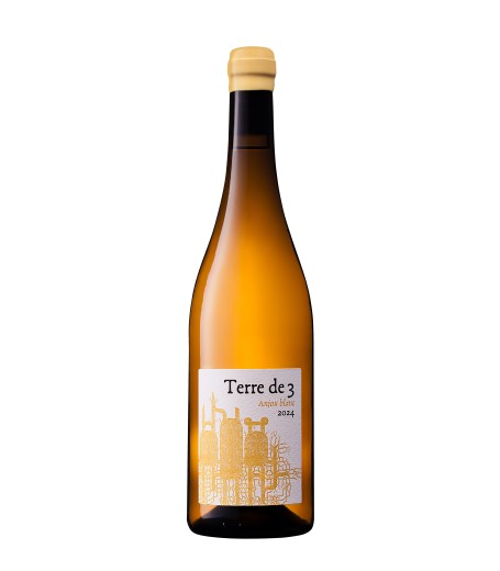 Visual of the vintage Terre de 3