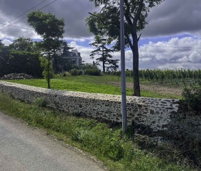 Terra Vita Vinum