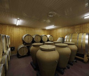 Terra Vita Vinum
