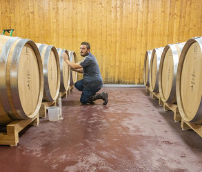 The barrels of Terra Vita Vinum | Terra Vita Vinum