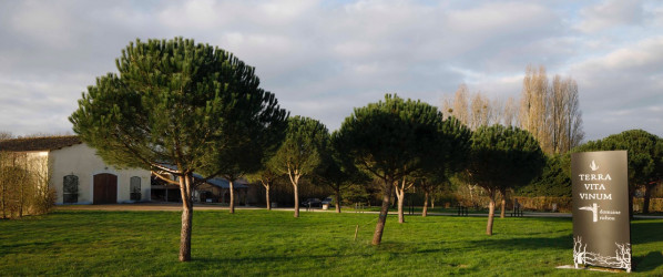 Terra Vita Vinum : vue panoramique du domaine Terra Vita Vinum