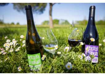 Our new vintages Large soif 2019 are now available!