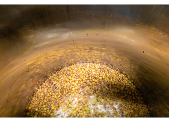Le pied de cuve de la cuvée de macération de blanc commence à pétiller pour notre plus grand plaisir !