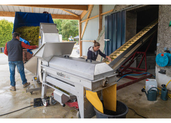 C’était la première fois que l’égrappoir avalait des grappes de raisins blancs !