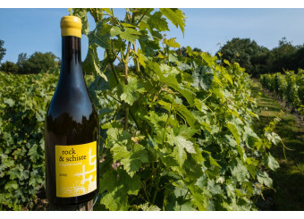 A new born at Terra Vita Vinum: Rock & schiste blanc 2019.