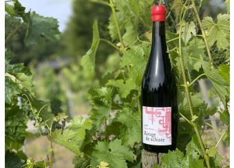 Rouge de schiste 2018 : a new vintage at Terra Vita Vinum...