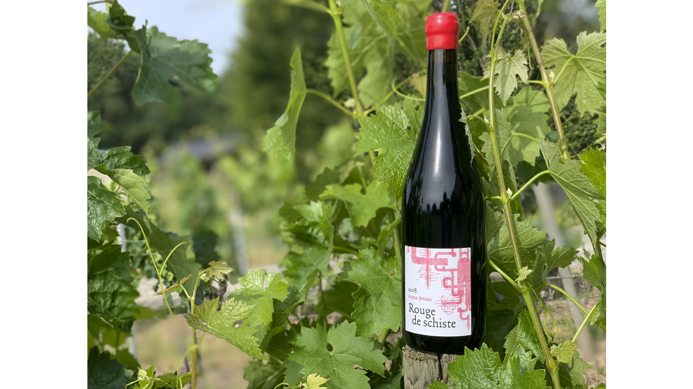 Rouge de schiste 2018 : une nouvelle cuvée chez Terra Vita Vinum... Rouge de schiste 2018 : une nouvelle cuvée chez Terra Vita Vinum...