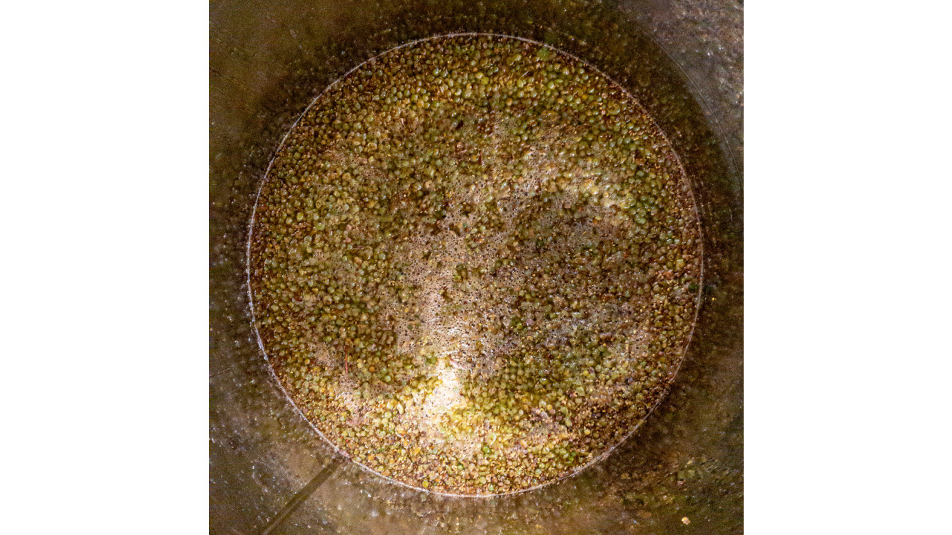 The first natural yeast of the vat of chardonnay !