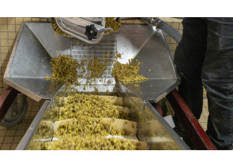 L’événement à la cave, le décuvage de la macération de blanc !