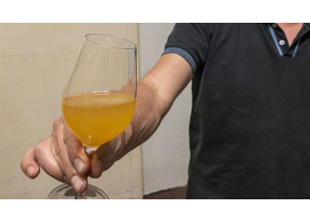 Le blanc de macération « Rock & Schiste » est sorti du pressoir !